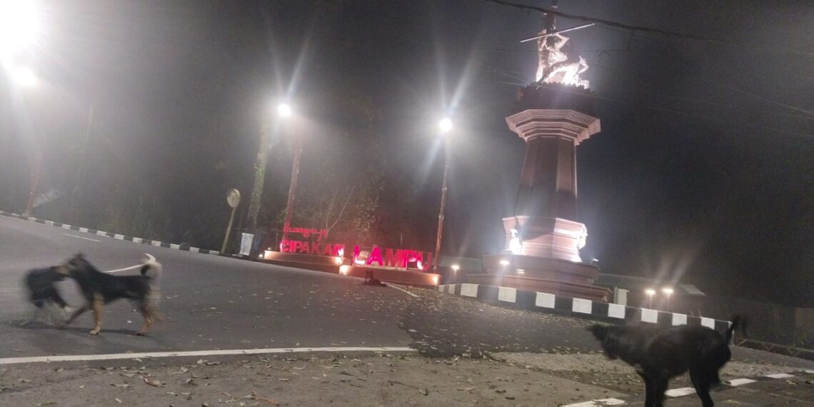 Menyatunya Dingin Kintamani, Cipakan Lampu, Kopi dan Jaja Bantal